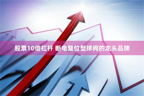 股票10倍杠杆 断电复位型球阀的龙头品牌